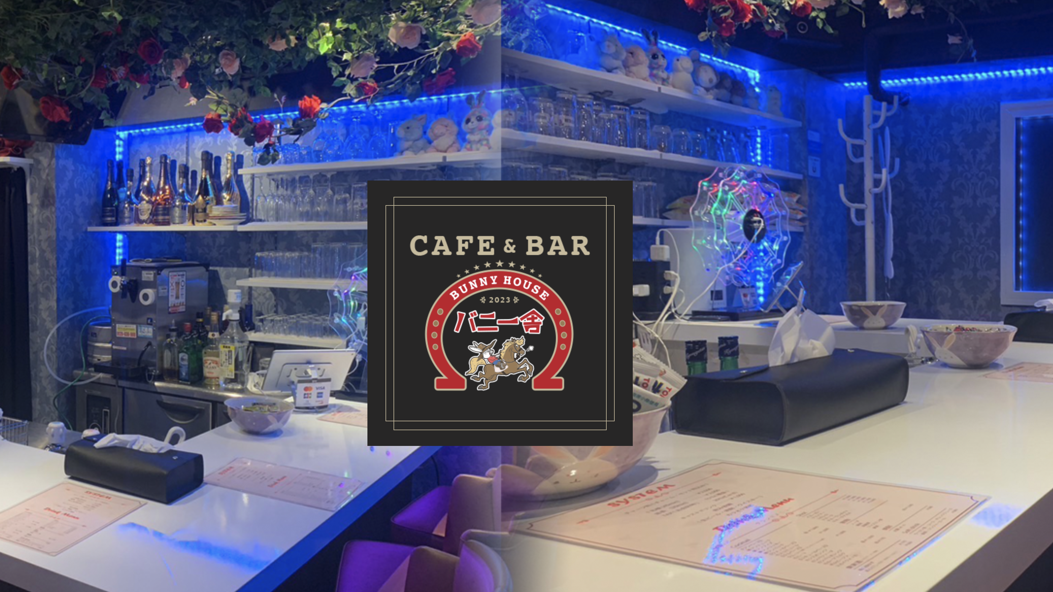 カフェ&バー バニー舎 店内写真